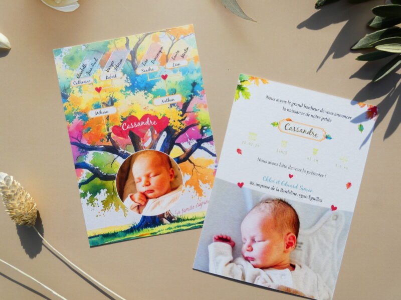 Faire-part de naissance mixte pour fille ou garçon. Thème arbre généalogique tutti frutti