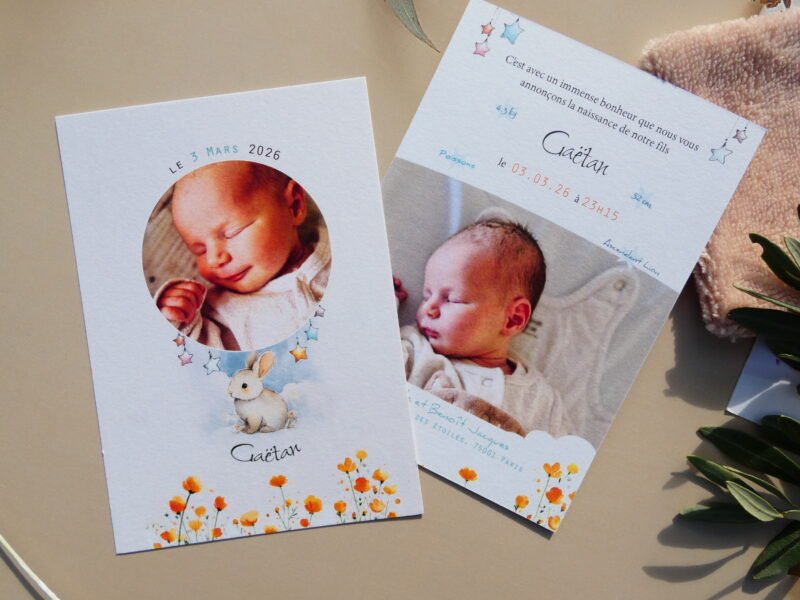 P1030738 Faire-part de naissance mixte pour fille ou garçon. Thème lapin rêveur et poétique, champêtre avec signe et ascendant astrologique